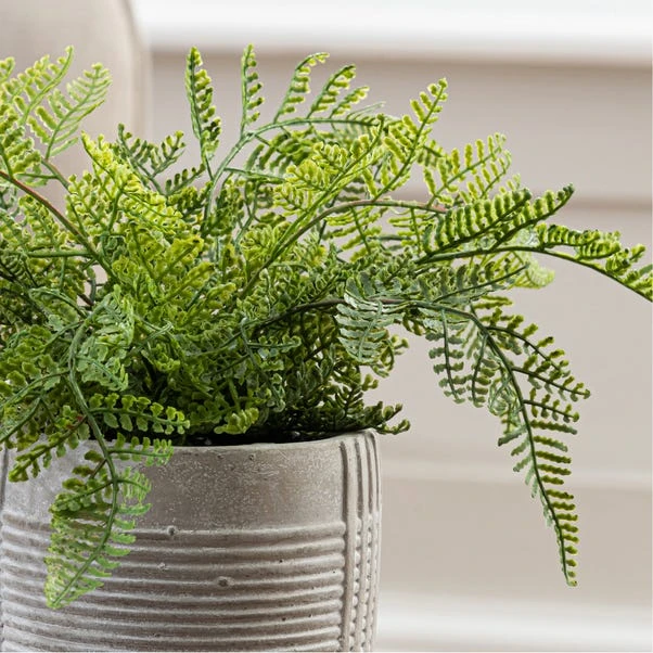 Artificial Green Fern In Grey Concrete Pot 2 Artificial Green Fern In Grey Concrete Pot - Image 2