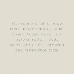 Bergamot Diffuser -EGLO Shop 1000183230 alt09