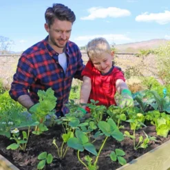 Veg Bed Planter 2m 15 Veg Bed Planter 2m -EGLO Shop 30601451 alt05