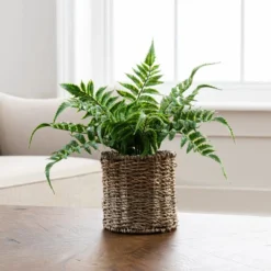 Artificial Fern In Rattan Plant Pot