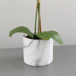 Artificial Cream Orchid In Marble Plant Pot -EGLO Shop 30672982 alt02