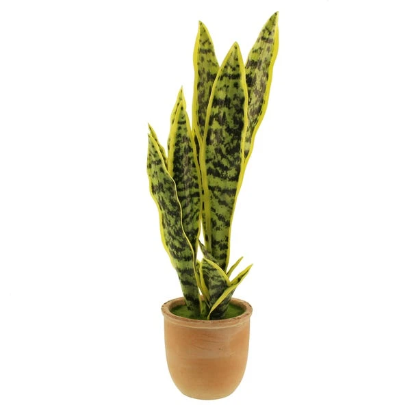 Artificial Sansevieria In Terracotta Plant Pot 5 Artificial Sansevieria In Terracotta Plant Pot - Image 5