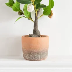 Artificial Camellia Tree In Terracotta Plant Pot -EGLO Shop 30724533 alt02