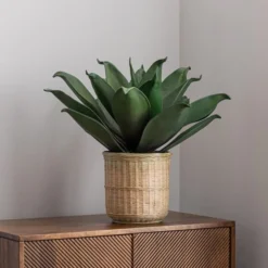 Artificial Agave In Bamboo Plant Pot -EGLO Shop 30726492 alt03