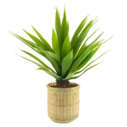 Artificial Dracaena In Bamboo Plant Pot 7 Artificial Dracaena In Bamboo Plant Pot -EGLO Shop 30726493 alt03