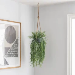 Artificial Trailing Grass In Hanging Grey Plant Pot