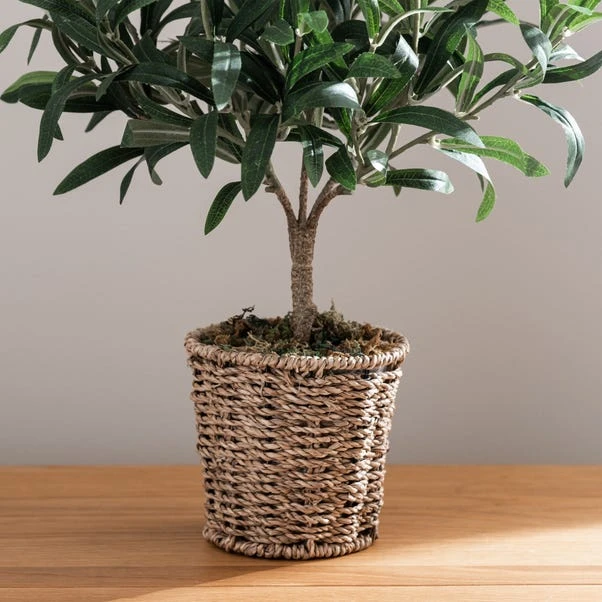 Churchgate Artificial Small Olive Tree In Woven Plant Pot 4 Churchgate Artificial Small Olive Tree In Woven Plant Pot - Image 4