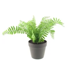 Artificial Fern In Black Plant Pot -EGLO Shop 30752435 alt03