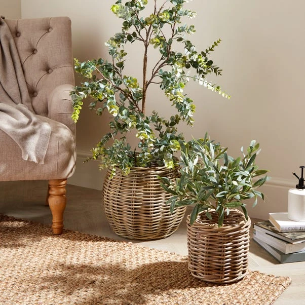 Churchgate Set Of 2 Rattan Planters 1 Churchgate Set Of 2 Rattan Planters