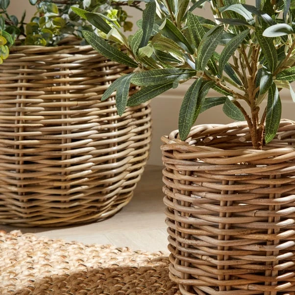 Churchgate Set Of 2 Rattan Planters 2 Churchgate Set Of 2 Rattan Planters - Image 2