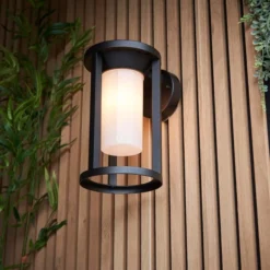Vogue Butler Outdoor Wall Light -EGLO Shop 30789768 alt04
