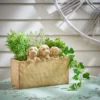 Set Of 3 Cockapoo Planters