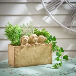 Set Of 3 Cockapoo Planters