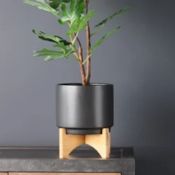 Plain Ceramic Plant Pot On Wooden Stand