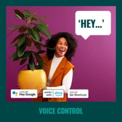 WiZ 48ft Smart Ambient Outdoor Festoon Lights -EGLO Shop 30838383 alt05