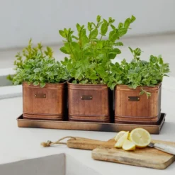 Set Of 3 Herb Hampton Outdoor Planters With Tray