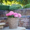 Polyrattan Lined Basket Plant Pot