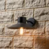 Carina Outdoor Wall Light
