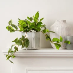 Artificial Green Trailing Plant In Black Plant Pot