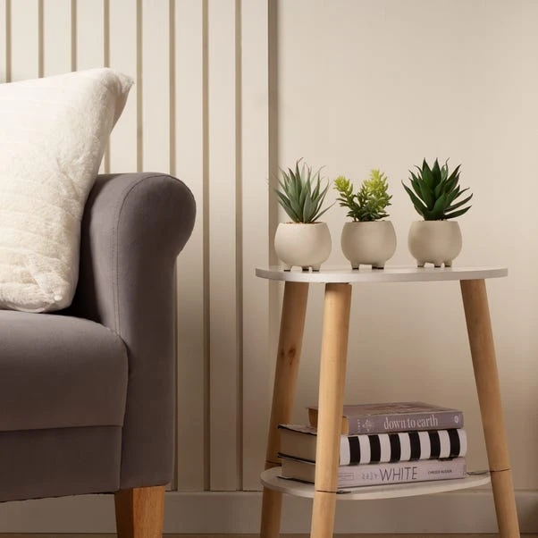 Artificial Set Of 3 Succulents In Cream Cement Plant Pots 1 Artificial Set Of 3 Succulents In Cream Cement Plant Pots