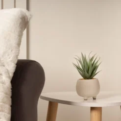 Artificial Set Of 3 Succulents In Cream Cement Plant Pots 11 Artificial Set Of 3 Succulents In Cream Cement Plant Pots -EGLO Shop 30860960 alt03