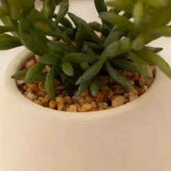Artificial Set Of 3 Succulents In Cream Cement Plant Pots 13 Artificial Set Of 3 Succulents In Cream Cement Plant Pots -EGLO Shop 30860960 alt05