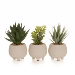 Artificial Set Of 3 Succulents In Cream Cement Plant Pots 15 Artificial Set Of 3 Succulents In Cream Cement Plant Pots -EGLO Shop 30860960 alt07