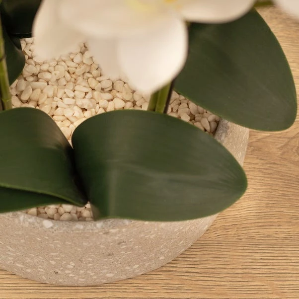 Artificial White Orchid In Grey Terrazzo Plant Pot 3 Artificial White Orchid In Grey Terrazzo Plant Pot - Image 3