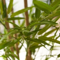 Artificial Indoor Outdoor Bamboo Tree In White Geometric Pot 5 Artificial Indoor Outdoor Bamboo Tree In White Geometric Pot -EGLO Shop 30861642 alt02