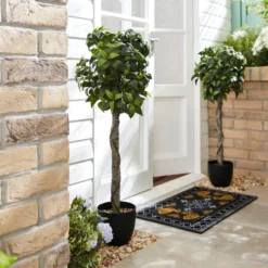 Set Of 2 Artificial Bay Tree Plants In Black Pots