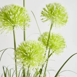 Artificial Allium Plant In Black Pot -EGLO Shop 30861650 alt03