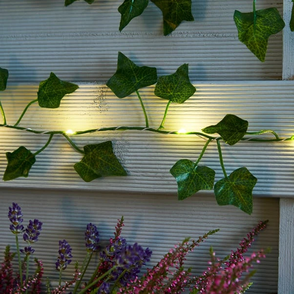 Ivy Garland 50 LED Indoor Outdoor String Lights 3 Ivy Garland 50 LED Indoor Outdoor String Lights - Image 3