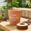 Taylor's Bulbs You're Blooming Lovely Terracotta Plant Pot