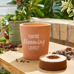 Taylor's Bulbs You're Blooming Lovely Terracotta Plant Pot