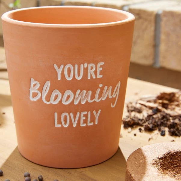 Taylor's Bulbs You're Blooming Lovely Terracotta Plant Pot 2 Taylor's Bulbs You're Blooming Lovely Terracotta Plant Pot - Image 2