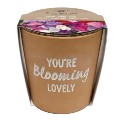 Taylor's Bulbs You're Blooming Lovely Terracotta Plant Pot 6 Taylor's Bulbs You're Blooming Lovely Terracotta Plant Pot -EGLO Shop 30866043 alt03