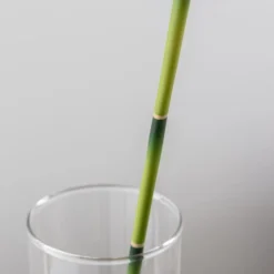 Artificial Lucky Bamboo Stem -EGLO Shop 30870093 alt03