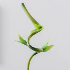 Artificial Lucky Bamboo Stem -EGLO Shop 30870093 alt04