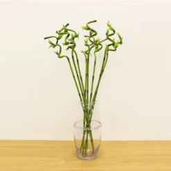 Artificial Lucky Bamboo Stem -EGLO Shop 30870093 alt05