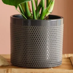 Swiss Cheese House Plant In Capri Pot 36 Swiss Cheese House Plant In Capri Pot -EGLO Shop 30875286 alt02