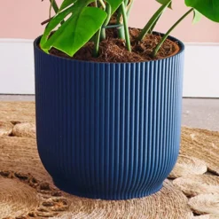 Swiss Cheese House Plant In Elho Pot -EGLO Shop 30875295 alt02