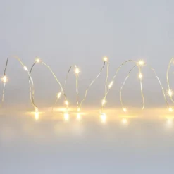 Warm White 20 LED String Lights