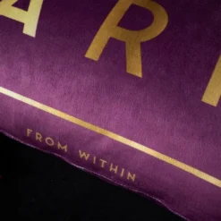 Bridgerton By Catherine Lansfield Sparkle Within Cushion -EGLO Shop 30877070 alt03