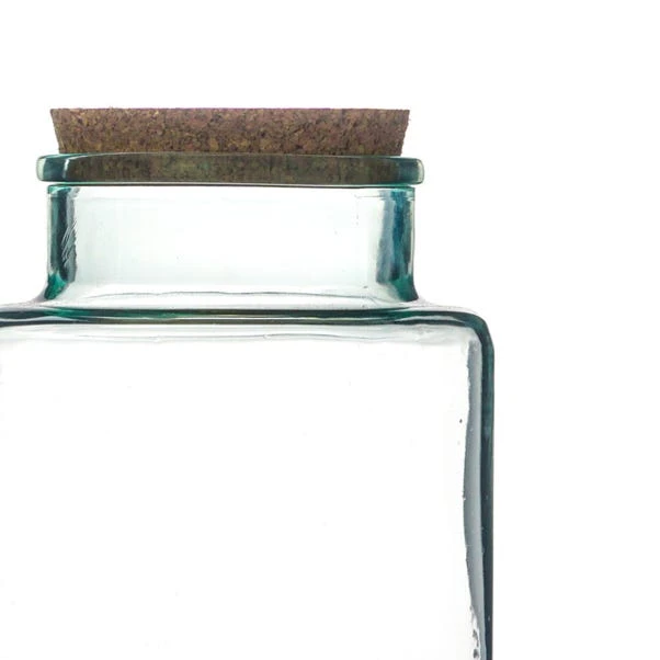 Bottle Shape Large Terrarium DIY Kit 4 Bottle Shape Large Terrarium DIY Kit - Image 4