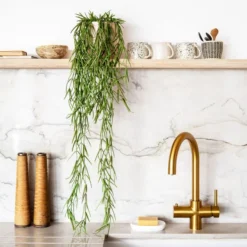 Artificial Hanging Hoya Linearis Plant