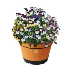 VegTrug Medium Build A Barrel Kit