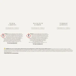 Set Of 3 Pear & Gardenia, Plum & Patchouli And Tuberose & Freesia Candles -EGLO Shop 30897753 alt09