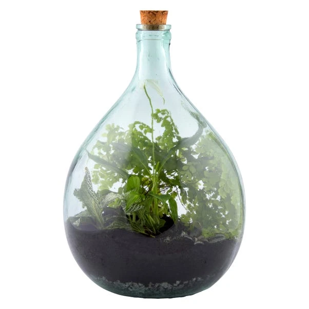 Fallen Fruits 15L Terrarium Bottle And Tools Set 2 Fallen Fruits 15L Terrarium Bottle And Tools Set - Image 2