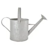 Fallen Fruits 6.6 Litre Old Zinc Watering Can