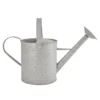 Fallen Fruits 8.7 Litre Old Zinc Watering Can